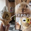 月うさぎの里　売店
