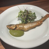 セルサルサーレ - 