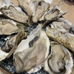 かきのおきて - 