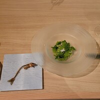 SCALAE - 