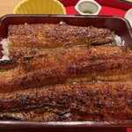 炭焼 うな富士 - 