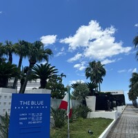 THE BLUE - 