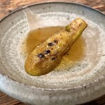 aru - 7. 実家の畑（愛知県豊川市）から茄子