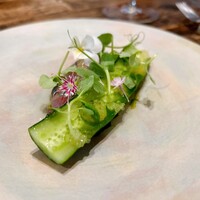 aru - 6. イチローファームさん（愛知県豊川市）の胡瓜、鯵