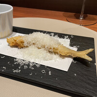 スガラボヴィー - 