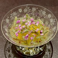 イル アオヤマ - 