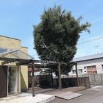 スピッツベーカリー - 