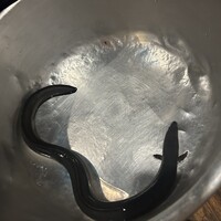 炭焼鰻 寝床 福島店 - 