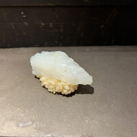 鮨 惣五郎 - ケンサキイカ