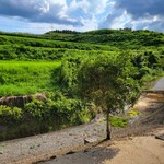 七里田温泉館 - 七里田温泉館の休憩室から見た景色