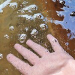 七里田温泉館 - 少し浸けただけでも凄い泡つき