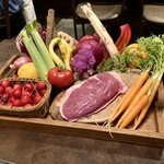 オッジ ダルマット - 