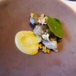 リョウリヤ ステファン パンテル - 