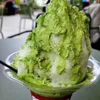 下鴨茶寮 東のはなれ - 