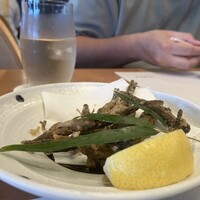 鰻割烹 伊豆栄 本店 -  鰻割烹 伊豆栄 本店 -
