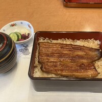 鰻割烹 伊豆栄 本店 -  鰻割烹 伊豆栄 本店 -