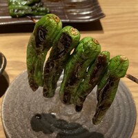 鳥ばか一代 - 