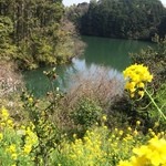 工房わらべ - 食事したテラスからの眺め。