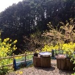 工房わらべ - 椎茸が干してありました。