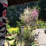 工房わらべ - 入り口から見た景色。