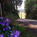 工房わらべ - ここを車で登って行くと駐車場です。