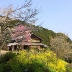 工房わらべ - 季節的にもベストな時期でした。