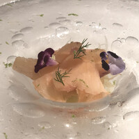 ジョンティ アッシュ - 