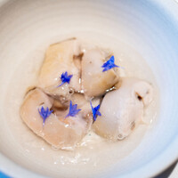 レストラン オオツ - 2024.7 軽く火を入れた大洗産岩牡蠣 カベルネ・ソーヴィニヨンビネガーのジュレ 柑橘と牡蠣出汁のムース