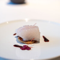 レストラン オオツ - 2024.7 那珂湊産根本兄弟の800gサイズ大穴子 フォアグラのテリーヌ 穴子のジュと発酵ブルーベリーのソース