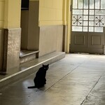 Mauto Caffè - 後を追っていたら建物に入り振り向いた