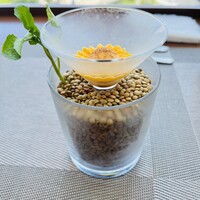 イリエスケープ - 