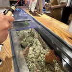 Ebi robata orb Fukushima - 새우 낚시