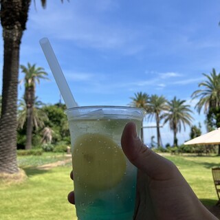 アールエイジア島カフェ_0