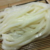 誠うどん