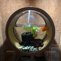 お料理 とみやま - 