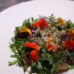 アルギュロス - 