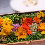 アルギュロス - 