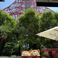 Terrace Dining TANGO - 