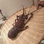 鉄板焼き いわ倉 - 