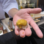 鮨 くまくら - 紫雲丹