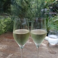 TRATTORIA CREATTA - 