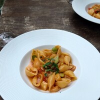 TRATTORIA CREATTA - 
