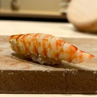 鮨まえだ - 車海老　握り