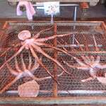 サスヨ海産 - タコ干し