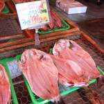 サスヨ海産 - 地物　天然イサキ