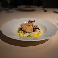 フォリオリーナ・デッラ・ポルタ・フォルトゥーナ - 