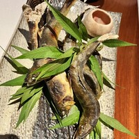 島之内 一陽 - 太田川産 天然鮎