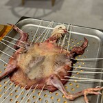 コムトゥヴ - ピジョン(鳩)