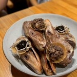 コムトゥヴ - ヒドリガモ