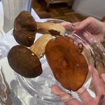 ウシマル - きのこ